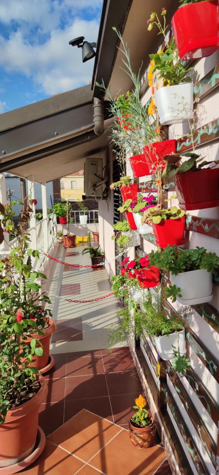 שקודר Lille France Apartments חדר תמונה